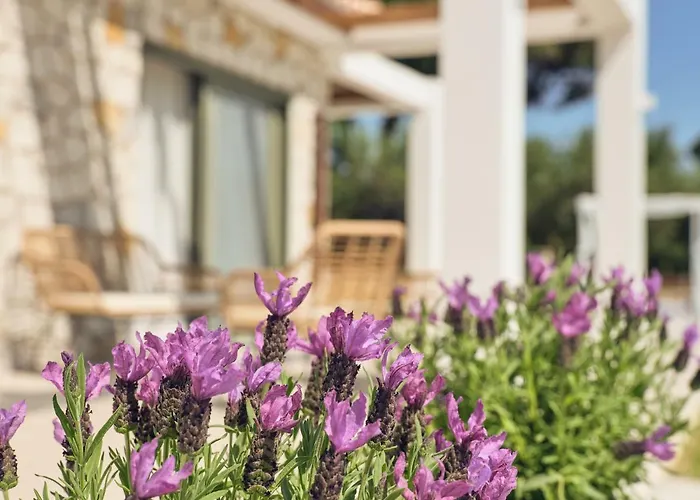 Gerakas Luxury Villa *