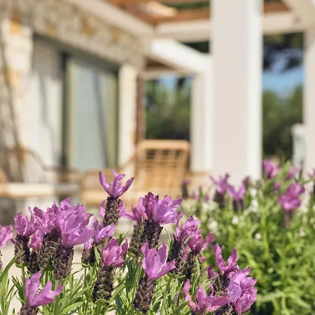 Gerakas Luxury Villa *